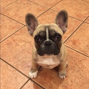 Meet your Posher, Matthew